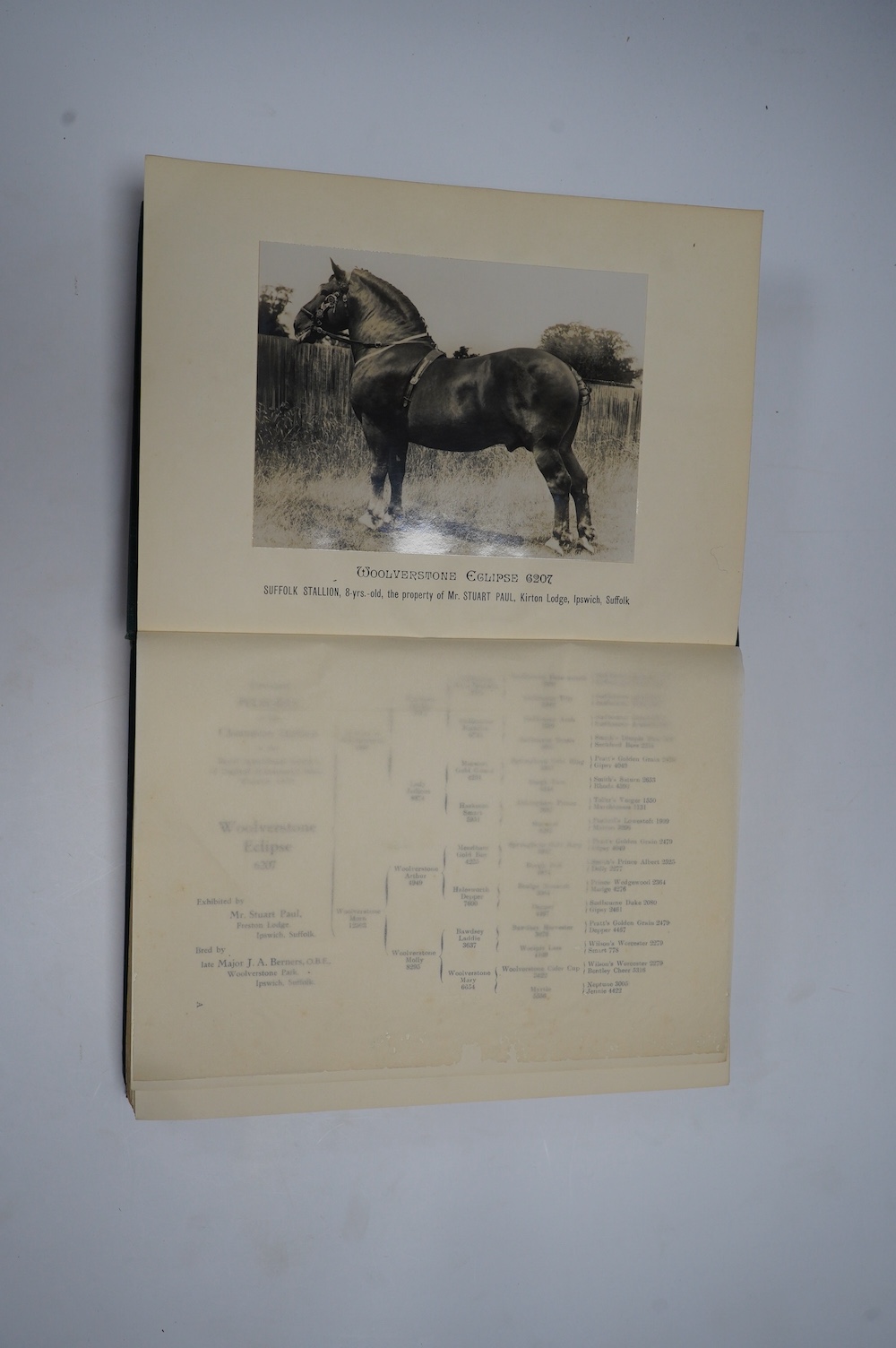 The Suffolk Stud-Book: a register of the county breed of cart horses. vol. XLIII. 2 mounted photo. plates and 2 folded tables; original cloth, roy.8vo. Diss, 1940; Lloyd, Walford - The Southdown Sheep ... illus.; gilt pi